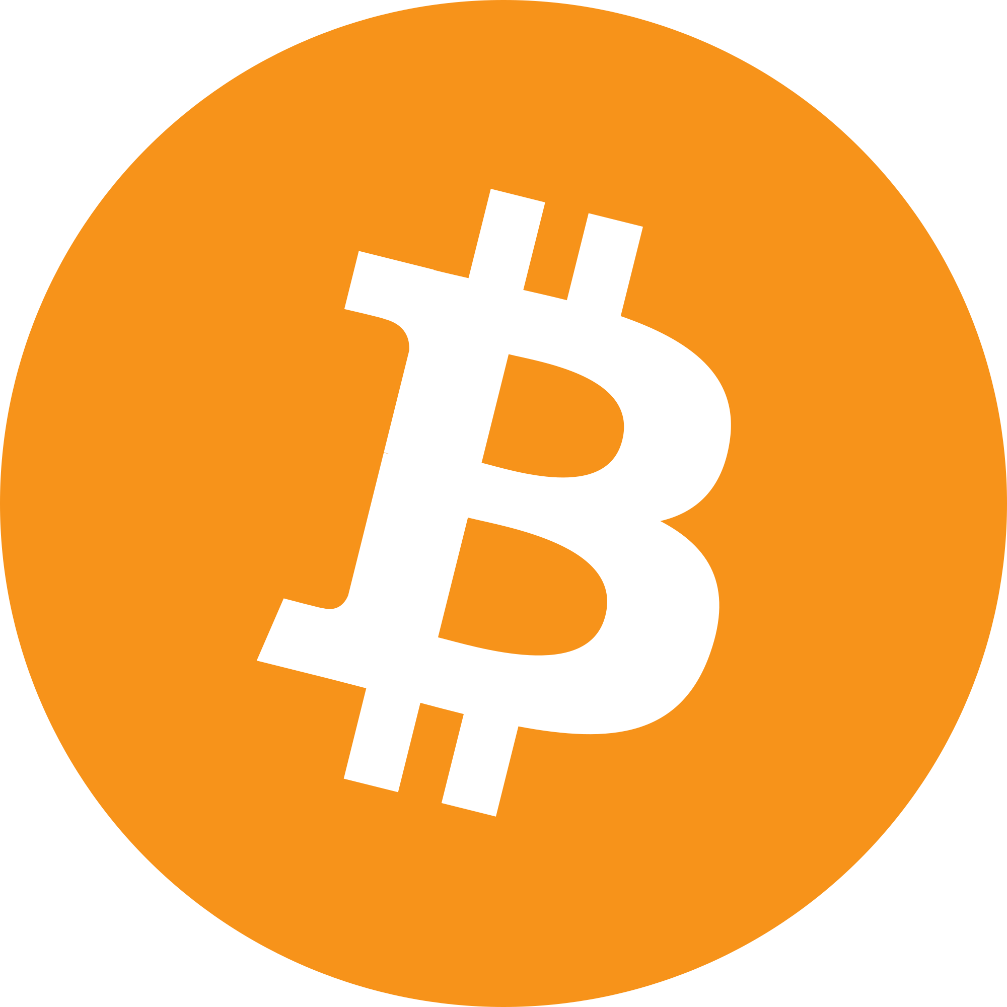BTC Tumbler Logo